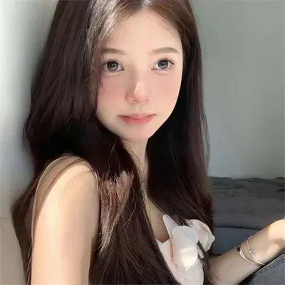房子与狗